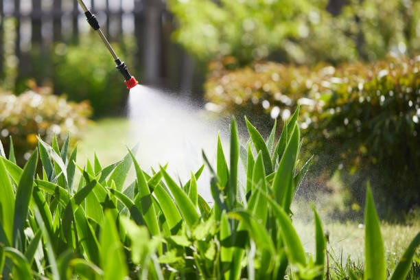 24/7 Emergency Wasp Removal experts in Osceola, WI